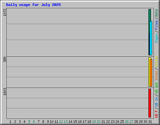 Daily usage for July 2025