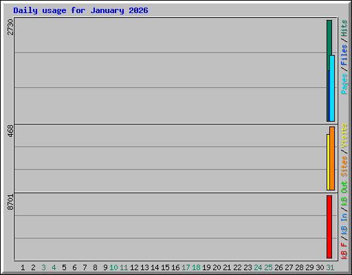 Daily usage for January 2026